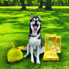 (D20335) "Ri-Pac" Doggy Scoop Bags, 35 Bags/Pack, 24 Packs /Cs